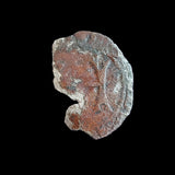 #p198# Italian medieval coin issued under Cabrino Fondulo, 1413-1420 AD