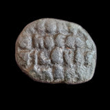 #M844# Rare Byzantine Follis coin of Constantine VII from 920-944 AD