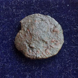 #N906# Anonymous Sicilian Greek coin from Kalakte, 405-390 BC