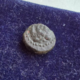 #P189# Greek Cyprus coin of King Nikokreon, 332-323 BC