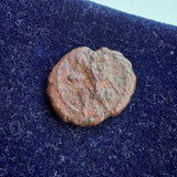 #P220# Anonymous Sicilian Greek coin from Katane, 186-170 BC