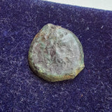 #P137# Greek bronze ae14 coin of Ptolemaic King Ptolemy IX from 116-106 BC