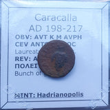 #P277# Roman provincial bronze coin of Caracalla from 198-217 AD (Hadrianopolis)
