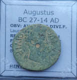 #p260# Roman provincial bronze coin from Celsa (Augustus) BC 27-14 AD