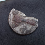 #p284# Roman silver denarius coin of Trajan from 114-115 AD