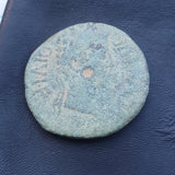 #p260# Roman provincial bronze coin from Celsa (Augustus) BC 27-14 AD