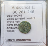 #h077# Greek Seleucid Bronze Coin of Antiochos II from 261-246 BC