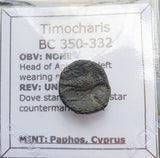 #g784# Greek Cyprus coin of King Timocharis, 350-332 BC