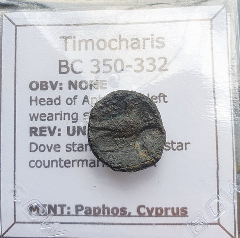 #g784# Greek Cyprus coin of King Timocharis, 350-332 BC