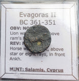 #g725# Cyprus Greek Bronze Coin of King Evagoras II from Salamis 361-351 BC