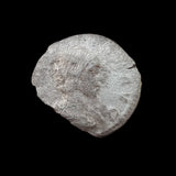 #p355# Roman silver denarius coin of Julia Maesa from 218-222 AD