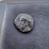#g781# Greek Cyprus coin of King Timocharis, 350-332 BC