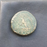 #p329# Bronze Anonymous Greek city issue coin from Amisos, 120-85 BC