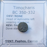 #i161# Greek Cyprus coin of King Timocharis, 350-332 BC