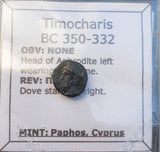 #g781# Greek Cyprus coin of King Timocharis, 350-332 BC