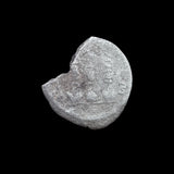 #p348# Roman silver denarius coin of Elagabalus from 220-221 AD