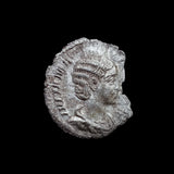 #p353# Roman silver denarius coin of Julia Mamaea from 226 AD