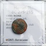 #N872# Sicilian Greek coin of Hieron II from Syracuse, 275-215 BC