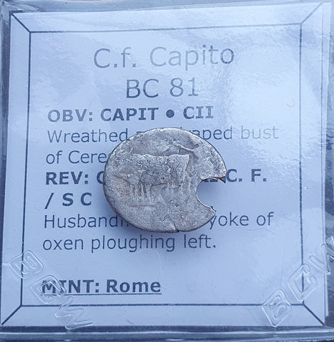 #p361# Roman Republican silver fouree denarius of C. Marius C.f. Capito from 81 BC