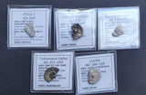#Lot47A# Ex-dealers lot of 5 Ancient silver Roman coins from 166-253 AD