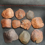 #Lot53A# Lot of 10 Identified Byzantine Trachy coins from 1204-1261 AD (Latin Occupation)