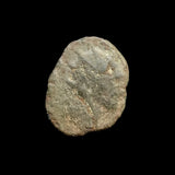 #f429# Roman posthumous Antoninianus coin of Claudius II from 270 AD