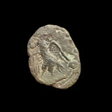 #f429# Roman posthumous Antoninianus coin of Claudius II from 270 AD