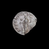 #p355# Roman silver denarius coin of Julia Maesa from 218-222 AD