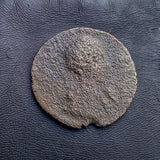 #p508# Roman bronze Diassarion coin of Plautilla from 203-205 AD (Sikyon)