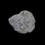 #p257# Roman bronze Antoninianus coin of Victorinus  from 269-271 AD