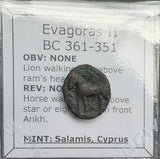 #P418# Cyprus Greek Bronze Coin of King Evagoras II from Salamis 361-351 BC