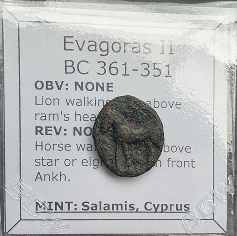 #P418# Cyprus Greek Bronze Coin of King Evagoras II from Salamis 361-351 BC