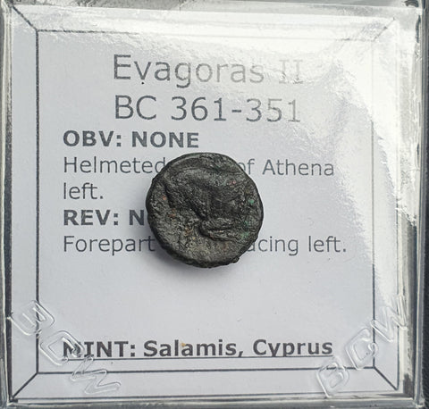 #P127# Cyprus Greek Bronze Coin of King Evagoras II from Salamis 361-351 BC