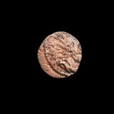 #p616# Roman barbarous issue coin of Tetricus I from 270-280 AD