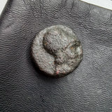 #P037# Greek Macedonian coin of King Demetrios I, 306-283 BC