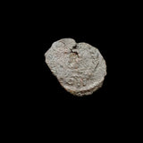 #P635# Small Roman Bronze Ae4 coin issued by Marcian from 450-457 AD