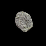 #P046# Greek Ptolemaic coin of Queen Cleopatra VII, 51-30 BC