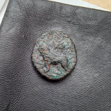 #P418# Cyprus Greek Bronze Coin of King Evagoras II from Salamis 361-351 BC