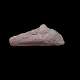 #p669# Greek Scythian 'dolphin' coin from Olbia, 500-425 BC