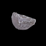 #p693# Bohemian silver 1 Pfennig coin of Meinhard II from 276-1295 AD