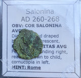 #p677# Roman Antoninianus coin of Salonina from 260-268 AD