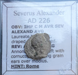 #h135# Roman silver denarius coin of Severus Alexander from 226 AD