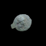 #p699 Greek Ptolemaic coin of Queen Arsinoe III, 220-204 BC