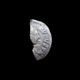 #f333# Roman silver denarius coin of Faustina II from 161-175 AD