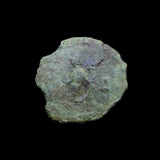#p677# Roman Antoninianus coin of Salonina from 260-268 AD