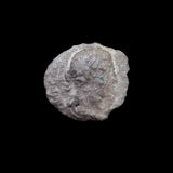 #h135# Roman silver denarius coin of Severus Alexander from 226 AD