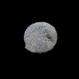 #p702# Greek Ptolemaic coin of Queen Arsinoe III, 220-204 BC