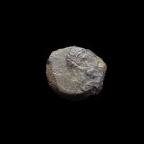 #p700# Anonymous Greek City Issue Bronze Coin of Palmyra from 100-300 AD