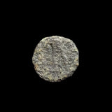 #P413# Greek Ptolemaic coin of Queen Cleopatra VII, 51-30 BC