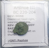 #p699 Greek Ptolemaic coin of Queen Arsinoe III, 220-204 BC